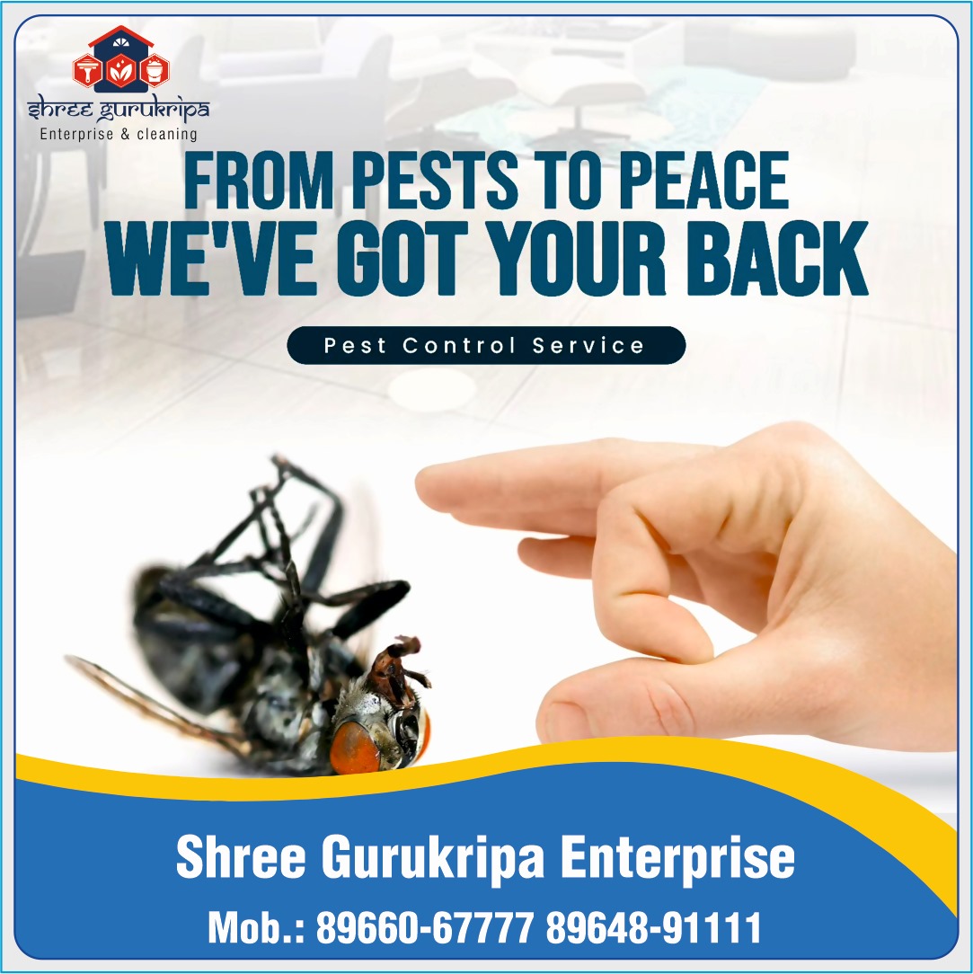 Best Pest Control Services in Indore